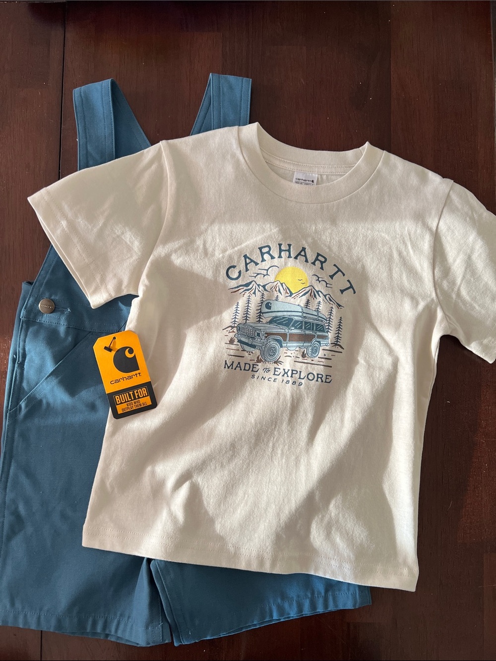 Carhartt t-shirt and Canvas Print Shortall Set